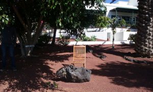 casa-museo-jose-saramago2